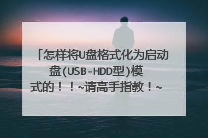 怎样将U盘格式化为启动盘(USB-HDD型)模式的！！~请高手指教！~还有U盘作启动是不是还要永支持的U盘？