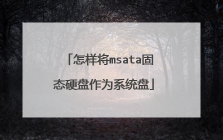 怎样将msata固态硬盘作为系统盘