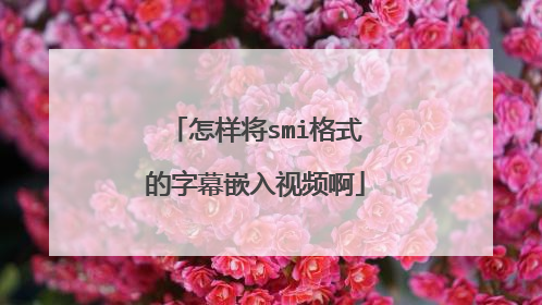怎样将smi格式的字幕嵌入视频啊