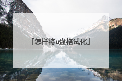 怎样将u盘格试化