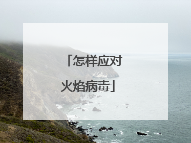 怎样应对火焰病毒