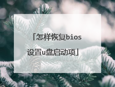 怎样恢复bios设置u盘启动项