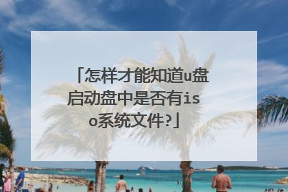 怎样才能知道u盘启动盘中是否有iso系统文件?