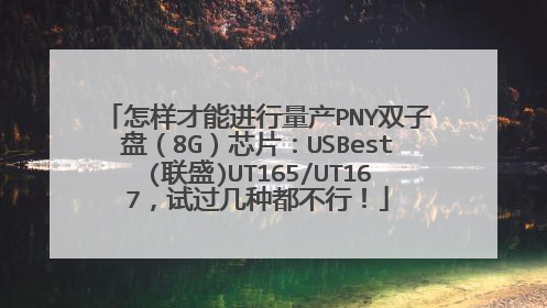 怎样才能进行量产PNY双子盘(8G)芯片:USBest(联盛)UT165/UT167,试过几种都不行!