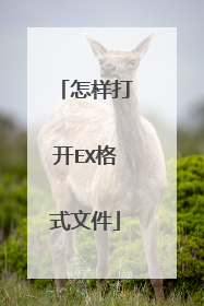 怎样打开EX格式文件