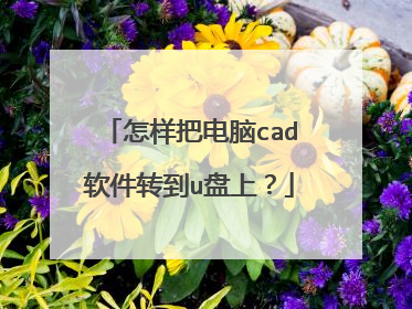 怎样把电脑cad软件转到u盘上?