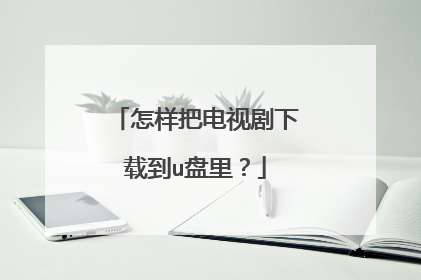 怎样把电视剧下载到u盘里?