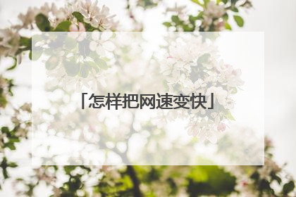 怎样把网速变快