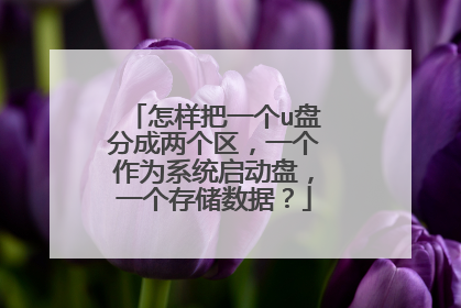 怎样把一个u盘分成两个区，一个作为系统启动盘，一个存储数据？