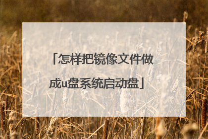 怎样把镜像文件做成u盘系统启动盘