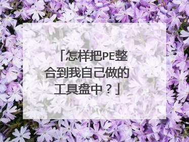 怎样把PE整合到我自己做的工具盘中?