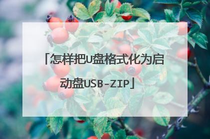 怎样把U盘格式化为启动盘USB-ZIP