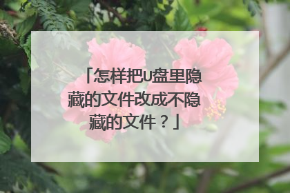 怎样把U盘里隐藏的文件改成不隐藏的文件?