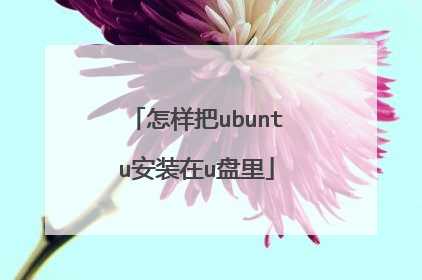 怎样把ubuntu安装在u盘里