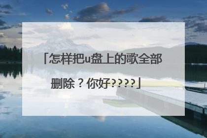 怎样把u盘上的歌全部删除？你好????