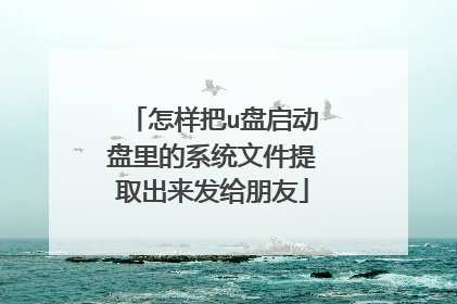怎样把u盘启动盘里的系统文件提取出来发给朋友