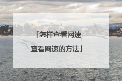怎样查看网速 查看网速的方法