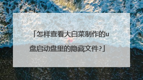 怎样查看大白菜制作的u盘启动盘里的隐藏文件?