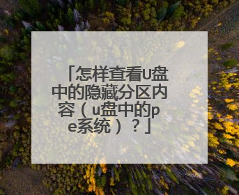 怎样查看U盘中的隐藏分区内容（u盘中的pe系统）？