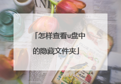 怎样查看u盘中的隐藏文件夹
