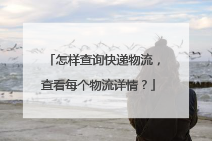 怎样查询快递物流,查看每个物流详情?