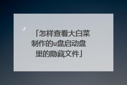 怎样查看大白菜制作的u盘启动盘里的隐藏文件
