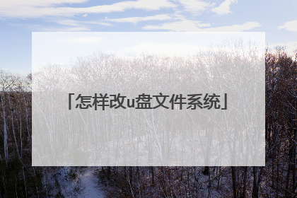 怎样改u盘文件系统