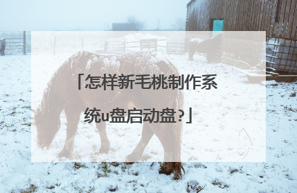 怎样新毛桃制作系统u盘启动盘?