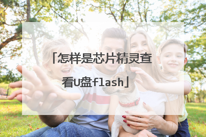 怎样是芯片精灵查看U盘flash