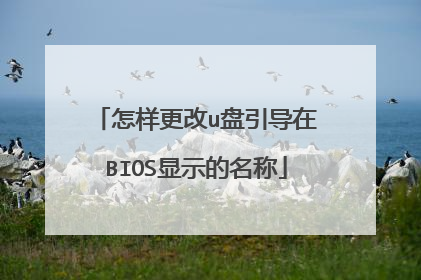 怎样更改u盘引导在BIOS显示的名称