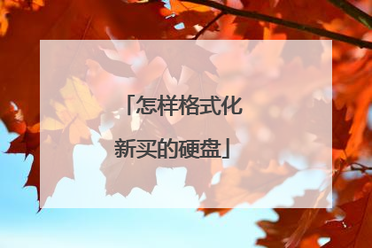 怎样格式化新买的硬盘