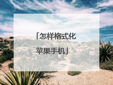 怎样格式化苹果手机