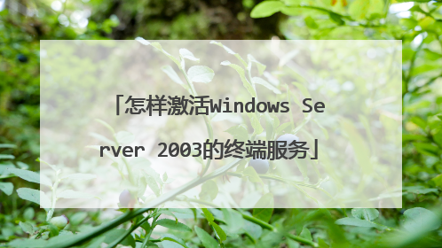 怎样激活Windows Server 2003的终端服务