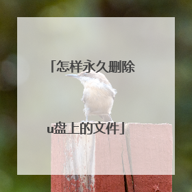 怎样永久删除u盘上的文件