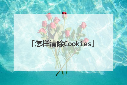 怎样清除Cookies