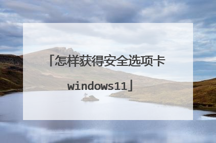 怎样获得安全选项卡windows11