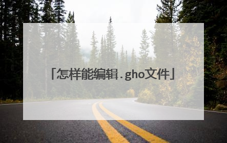怎样能编辑.gho文件
