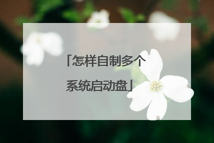 怎样自制多个系统启动盘