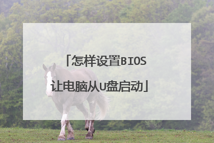 怎样设置BIOS让电脑从U盘启动