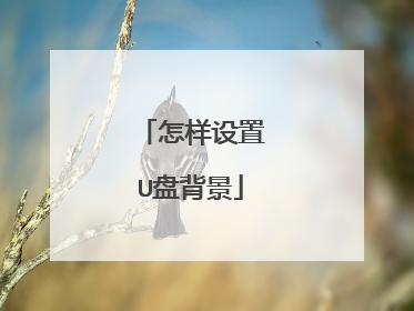 怎样设置U盘背景
