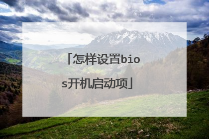 怎样设置bios开机启动项