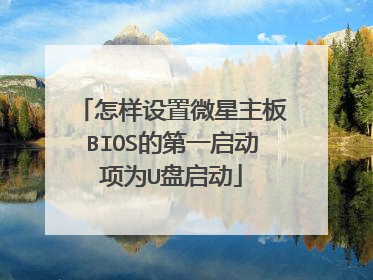 怎样设置微星主板BIOS的第一启动项为U盘启动