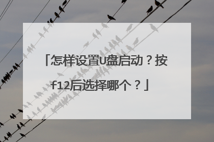 怎样设置U盘启动？按f12后选择哪个？