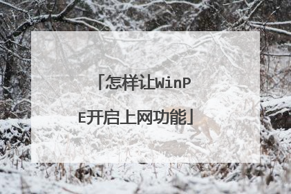 怎样让WinPE开启上网功能