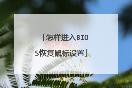 怎样进入BIOS恢复鼠标设置
