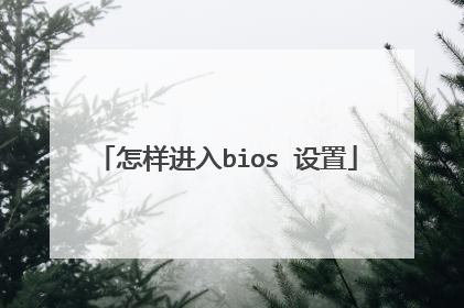 怎样进入bios 设置