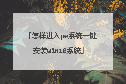 怎样进入pe系统一键安装win10系统