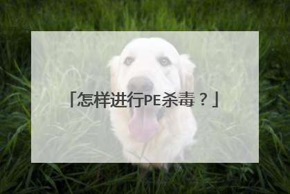 怎样进行PE杀毒?