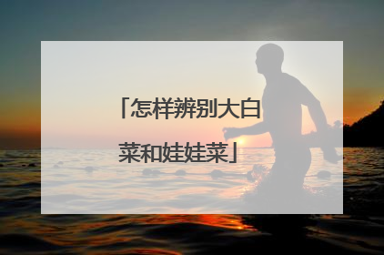 怎样辨别大白菜和娃娃菜