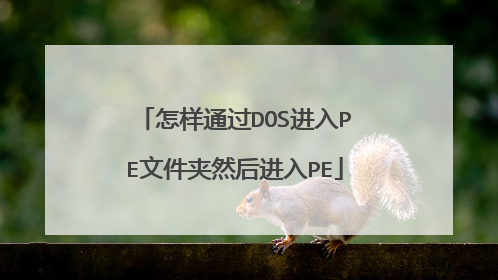 怎样通过DOS进入PE文件夹然后进入PE